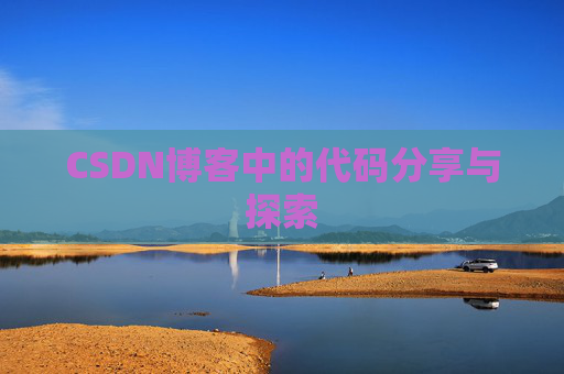 CSDN博客中的代码分享与探索